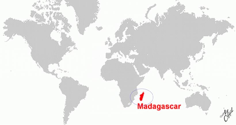 MapMadaWorld.JPG - Madagascar est la quatrième plus grande île du monde. Avec une large part de sa population originaire d'Asie, elle est un original mélange - afro-asiatique -. Les français ont tout d'abord colonisé l'île au XIXe siècle (partage de l'Afrique par les Européens). En 1947, un soulèvement nationaliste est sévèrement réprimé par l’armée française, ce qui provoque la mort de plus de 80 000 personnes. Madagascar reste sous administration française jusqu'à ce qu'elle obtienne son indépendance en 1960.