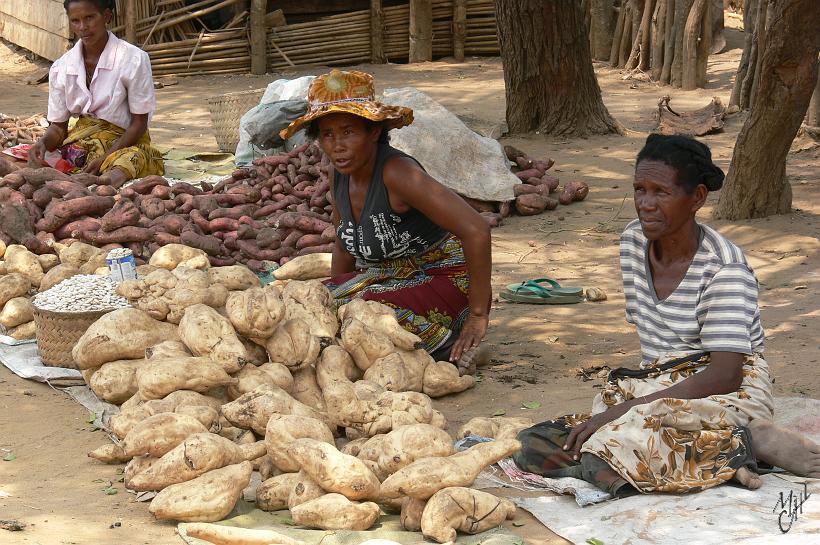 P1090401.JPG - Du manioc et d'autres racines vendues sur un marché. Madagascar est le premier consommateur de riz au monde, c'est la base de l'alimentation. Les malgaches en mangent matin midi et soir.