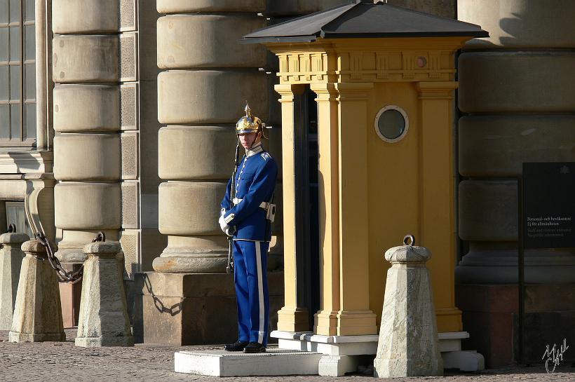 P1120059.JPG - Un garde en faction devant le palais royal.