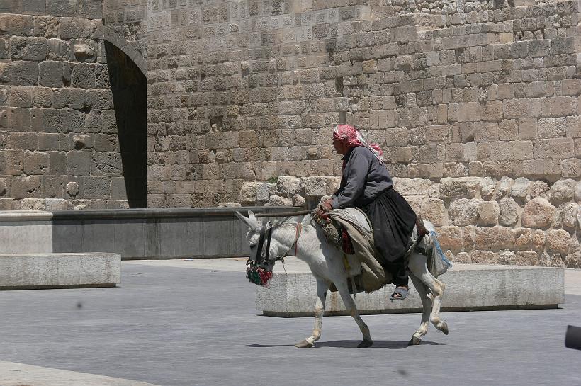 P1080784.JPG - En raison des allées étroites des souks (près de 10 km à Alep), le seul moyen de transport reste l'âne ou le cheval.