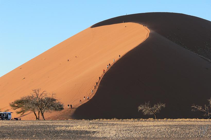 P1130119.JPG - Certaines dunes – comme ici à Sossusvlei – atteignent 300 m de haut et font partie des plus hautes dunes du monde. Il tombe moins de 50mm d'eau par an. Les températures varient entre 0°C et +50°C.