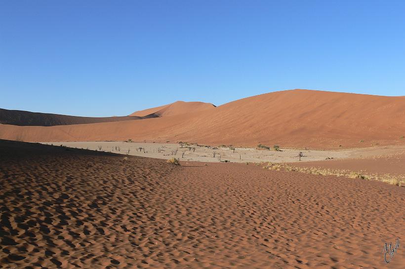 P1130146.JPG - Une particularité du désert de Namib. Au beau milieu des dunes, une cuvette qui se remplie d'eau environ 1 à 2 fois tous les dix ans (la dernière fois en 2006).