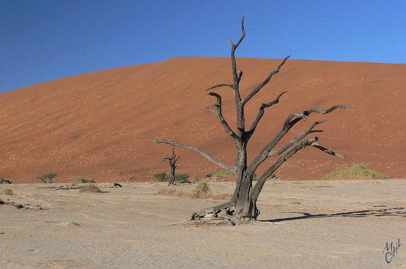 P1130168.JPG - Le désert de Namib se situe dans le Naukluft Park.