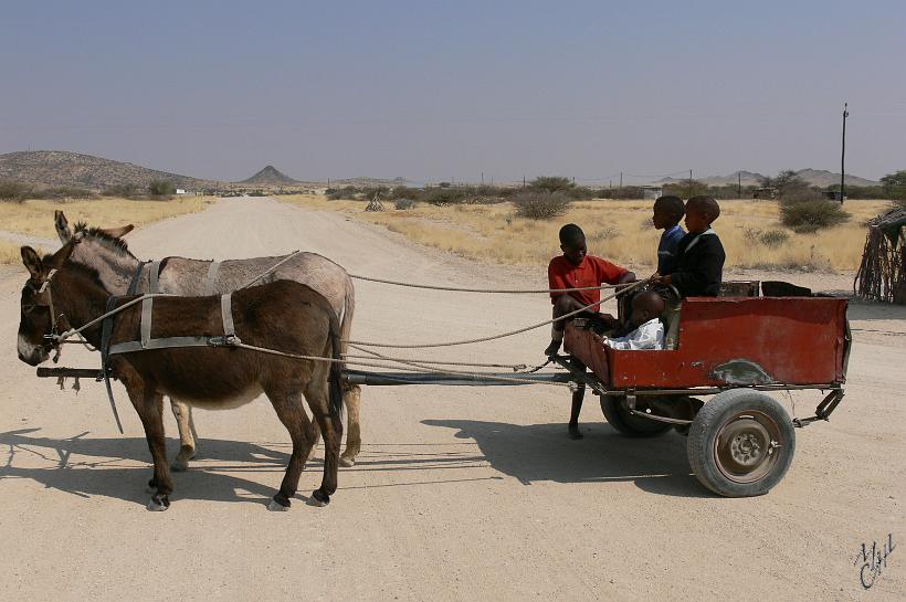 P1130685.JPG - Le seul moyen de transport dans les petits villages. Cette charrette à ânes sert aux déplacement, au transport de marchandises, mais surtout à aller chercher de l'eau aux petits réservoirs ou points d'eau, souvent situés à plusieurs kilomètres.