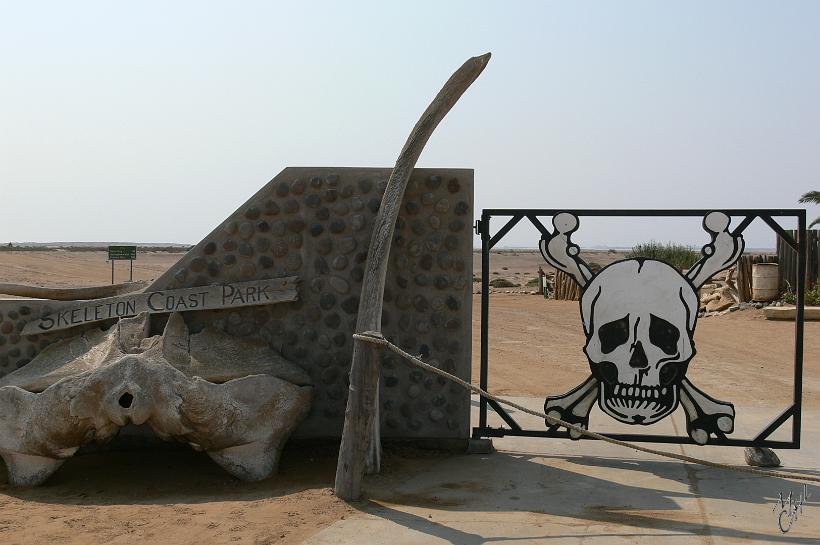 P1130766.JPG - La Skeleton Coast porte ce nom (La Côte aux Squelettes) à cause des deux types de squelettes qui y envahissent les plages : les baleines et les bateaux. Sur la route qui longe la côte dans ce parc protégé, on peu rouler des heures sans rencontrer personne.