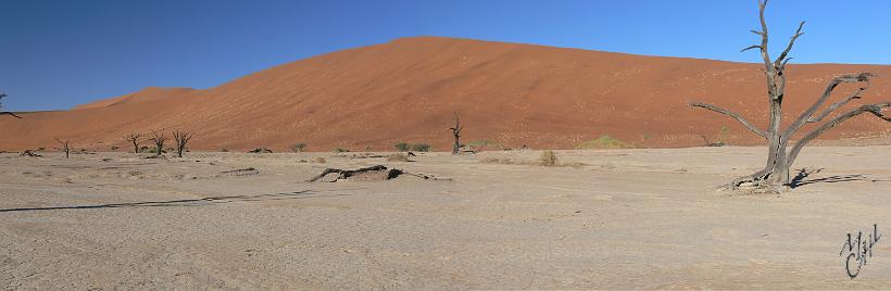 pano_P1130170-171.JPG - Deadvlei (lac mort) dans le désert du Namib