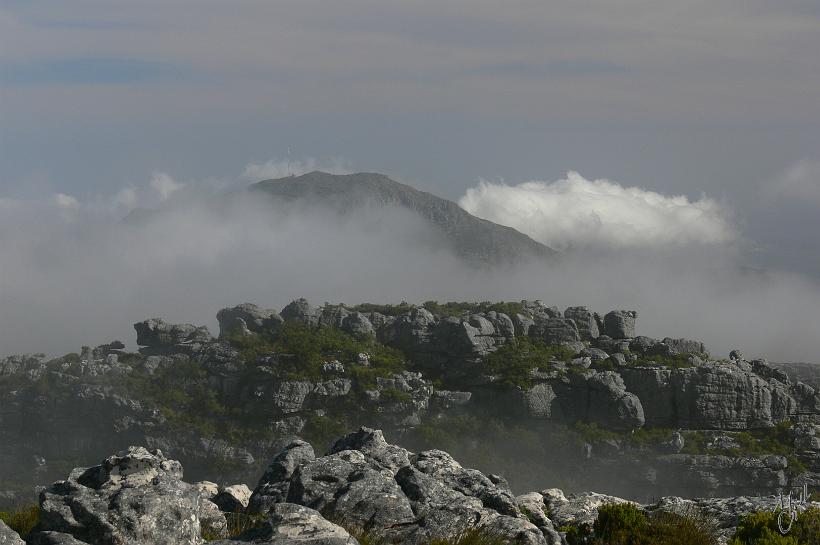 P1050059.JPG - La Montagne de la Table est le symbole de la ville du Cap et son attraction touristique principale.