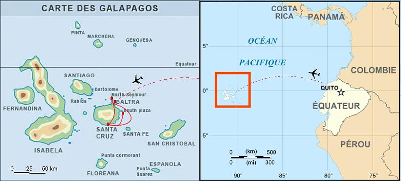 GALAPA_iles_continentAvionMM01.JPG - Les îles Galápagos situées à 1000 km des côtes équatoriennes sont composées de cinq grandes îles (Fernandina, Isabela, San Cristóbal, Santa Cruz et Santiago), 14 moyennes et petites îles et 42 îlots. Découvertes en 1535, elles furent pendant 200 ans pour les pirates, des points d'eau et de ravitaillement en tortues (pour se nourrir). Charles Darwin y arrive en 1835 à bord du bateau "Beagle" pour y étudier 4 îles.
