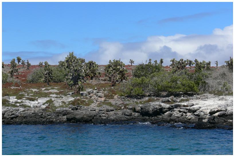 P1050740.JPG - Île Nord-Seymour - Galapagos