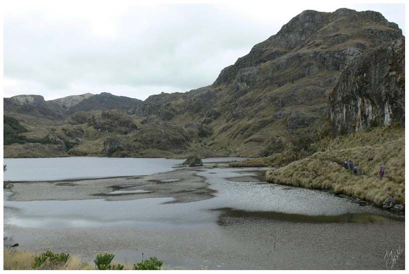 foto112.jpg - Le Parc National de Cajas est composé de plus de 230 lacs issus d'anciens glaciers et de phénomènes volcaniques. Ils sont isolés ou reliés par des ruisseaux.