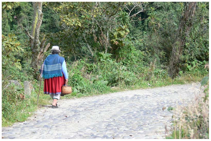 foto118.jpg - Le chemin qui mène vers le Lago Llaviucu - près du Parc de Cajas, Cuenca