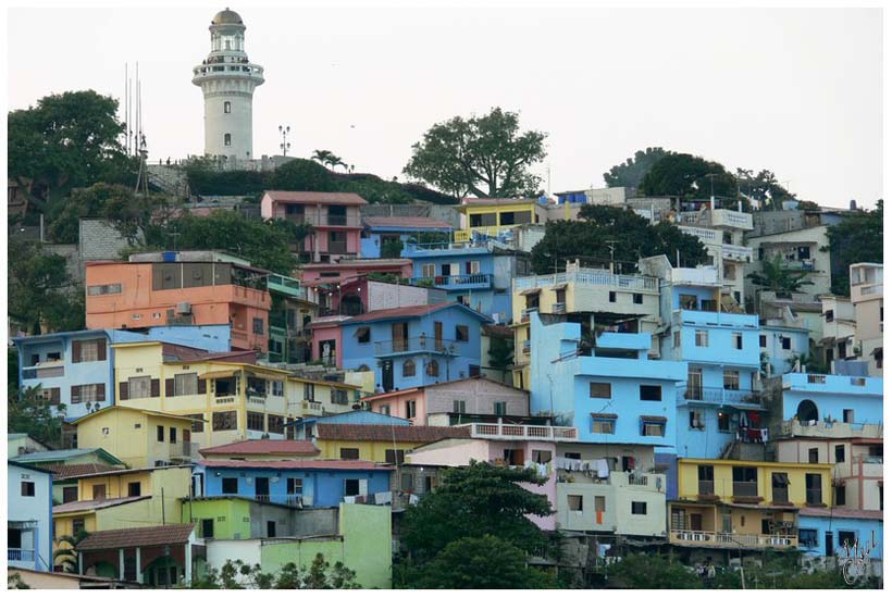 foto127.jpg - Le Cerro Santa Ana, au nord du Malecon. Cette partie très colorée de la vielle ville était le quartier le plus dangereux de Guayaquil. Mais réhabilité, il est aujourd'hui très agréable de s'y promener (le jour uniquement). Très belles ruelles et sur chaque maison rénovée une photo-souvenir de son état avant restauration.