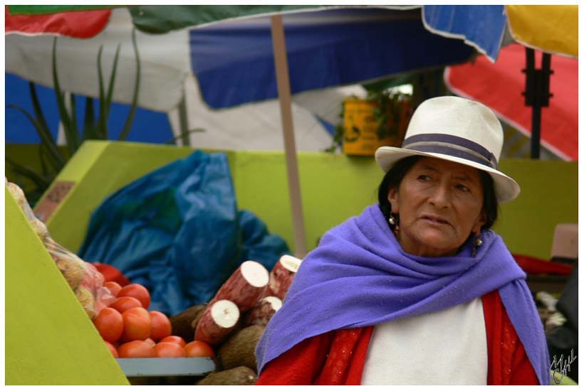 foto97.jpg - Les couleurs du marché couvert - Cuenca est la troisième plus grande ville de l'Équateur.