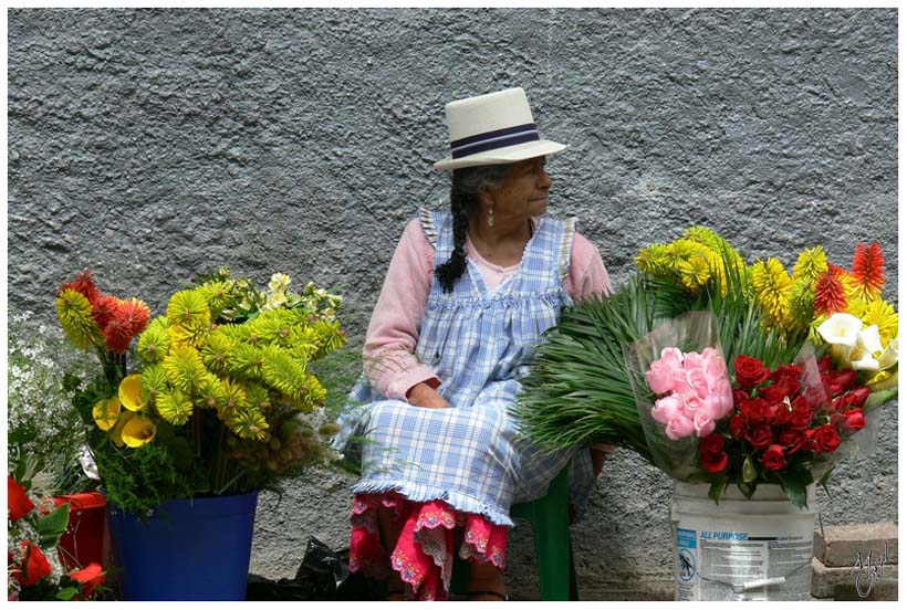 foto98.jpg - Le marché aux fleurs à Cuenca