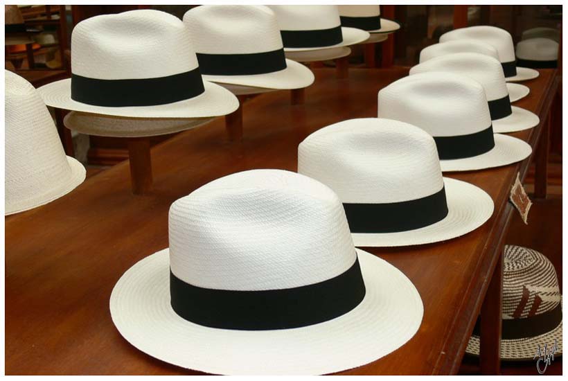 foto99.jpg - Le nom "Panama" est dû au succès qu'avaient ces chapeaux en 1900 au Panama, mais il sont bien originaires de la région de Cuenca. Entièrement réalisés à la main par les indiennes, ils sont ensuite formés, pressés,... chez les artisans spécialisés de la ville.