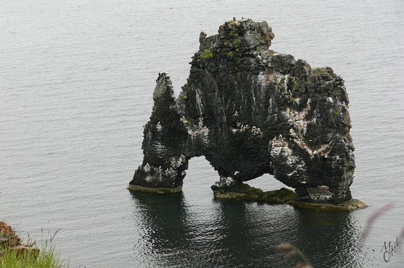 060730_Islande_ArcheBasaltique_Hvitserkur_205.JPG - La fameuse arche basaltique de Hvítserkur et des falaises aux oiseaux.