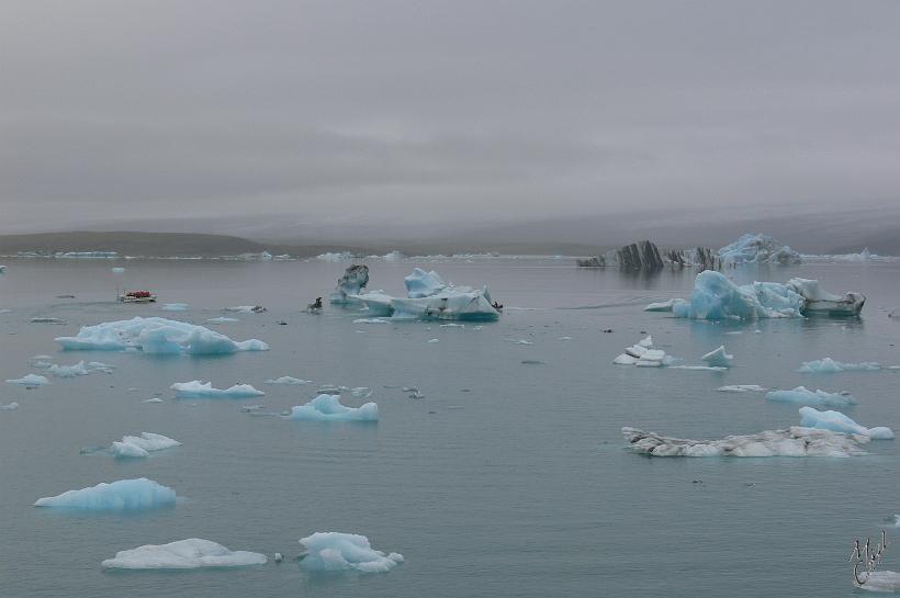 060805_Islande_Jokulsarlon_SE_827.JPG - Ce lac s’est formé à partir des années 1930, suite au retrait du glacier. La partie visible et émergée d'un iceberg ne représente environ que 1/7 à 1/8 de son volume total. Un iceberg qui dépasse de l'eau de 2m aura encore une épaisseur de glace d'environ 10m sous l'eau.
