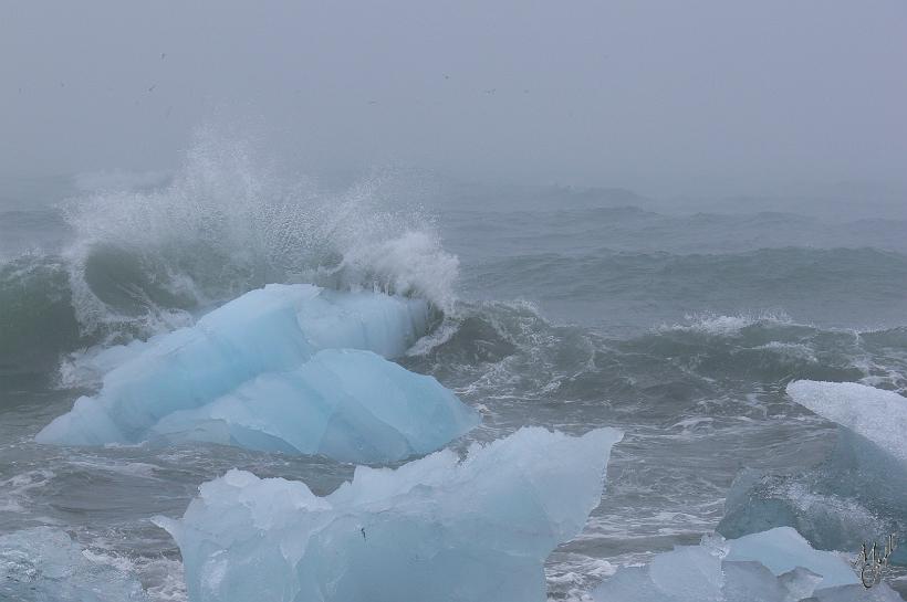 060805_Islande_Jokulsarlon_SE_865.JPG - Avec toutes ces différentes formes d'icebergs, les couleurs, le combat avec les vagues...on peut rester des heures à observer ce spectacle.