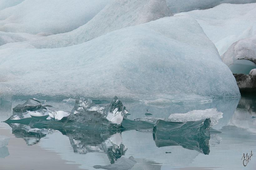 P1010810.JPG - Les icebergs sont, en très grande partie, de couleur blanche, parce que la glace est remplie de minuscules bulles d'air qui réfléchissent la lumière. La glace transparente ou de teinte bleue ne contient pas de bulles d'air.