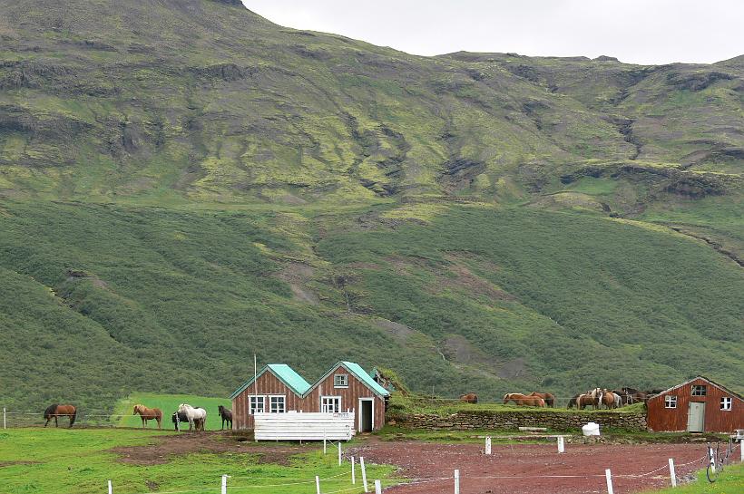 P1020649.JPG - Une ferme avec des chevaux islandais.