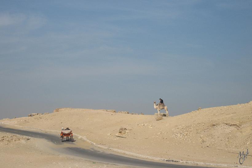 IMG_4241.JPG - Un policier sur un chameau, le meilleur et le plus rapide moyen de transport sur le sol caillouteux du désert (ici à Gizeh)