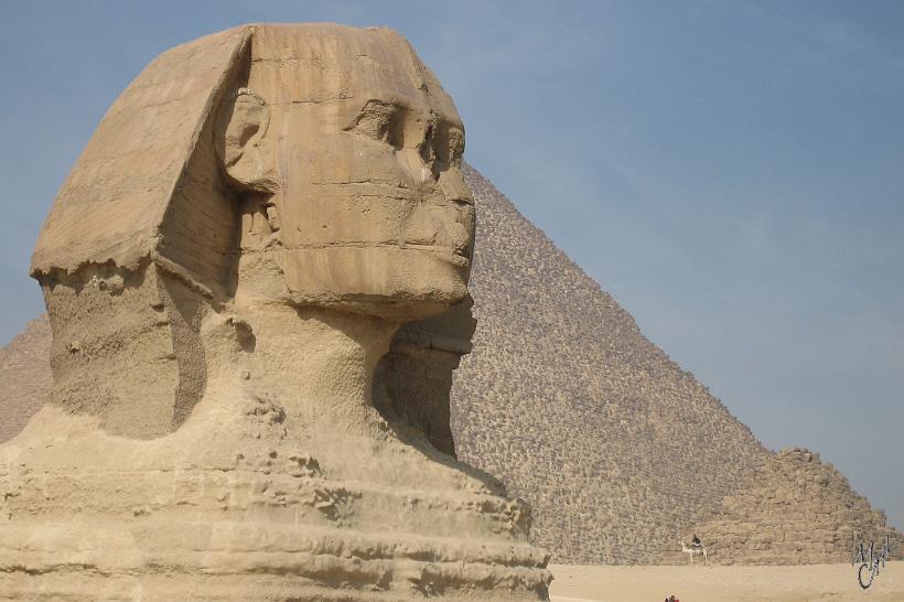 IMG_4286.JPG - Le Sphinx de Gizeh, colossale statue de lion à tête humaine, vieille de 4500 ans. Taillé dans le roc, il mesure 74m pour une hauteur de 20m.