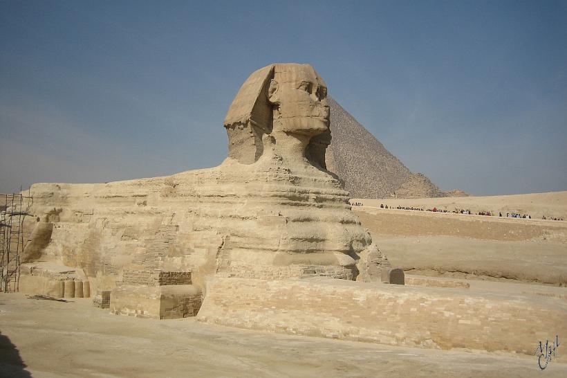 IMG_4292.JPG - La destruction du nez du Sphinx serait due aux troupes de Bonaparte qui l'auraient détruit lors d'exercices de tir au canon au XVIII ème siècle.