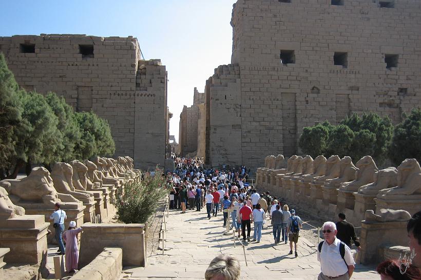 IMG_4439.JPG - Le temple de Karnak. C’est le plus grand et le plus riche centre religieux d'Egypte. Environ 30 pharaons ont contribué à sa construction, sur une durée de plus de 2000 ans. - Louxor/Karnak