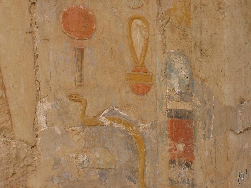 IMG_4542.JPG - Hiéroglyphes en couleur du temple funéraire de la reine-pharaon Hatchepsout.