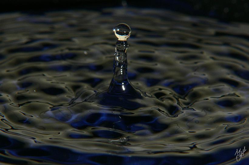 P1030733.JPG - Après avoir une première fois heurté la surface de l'eau, la goutte remonte au sommet d'une colonne d'eau avant de retomber en formant de petites vaguelettes.
