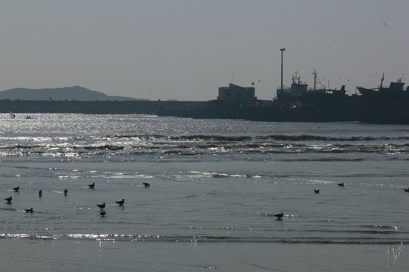 P1040392.JPG - Vue sur le port de Essaouira