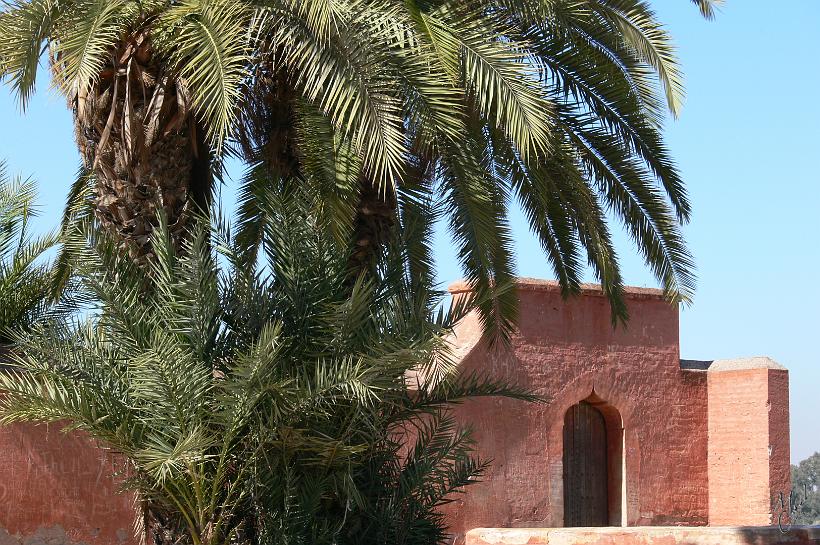 P1040405.JPG - Dans les jardins de la Ménara de Marrakech