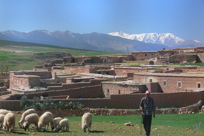 P1040558.JPG - Un berger berbère. Les Berbères sont un ensemble d'ethnies d'Afrique du Nord (Maroc, Algérie, Libye, Tunisie et Égypte)