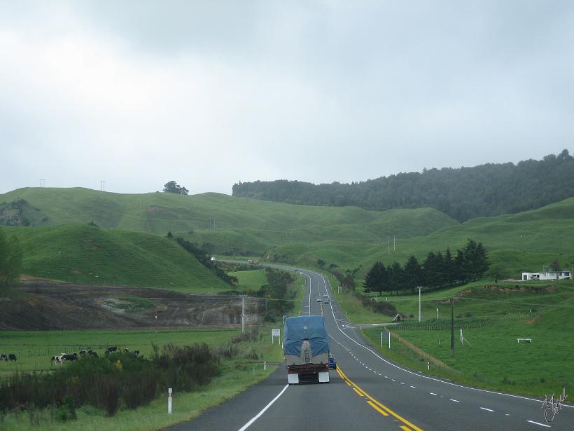 Auckland_Flug_IMG_1039.JPG - En route vers le sud de l'île du nord. Entre Auckland et Hamilton. Conduire en Nouvelle Zélande est un vrai plaisir, peu de trafic, des paysages merveilleux qui changent régulièrement...
