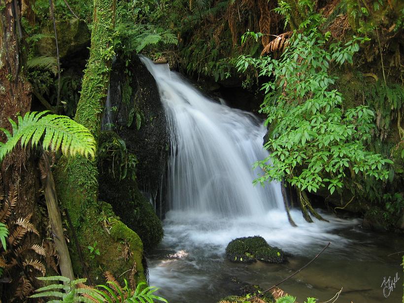 BuriedVillage_HukaFalls_IMG_1310.JPG - Une belle cascade dans une forêt près de Buried Village. En Nouvelle Zélande, que l'on soit sur l'île du nord ou du sud, en montagne ou en forêt, l'eau et le volcanisme sont présents partout.