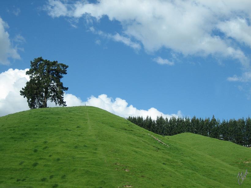 BuriedVillage_HukaFalls_IMG_1323.JPG - Les couleurs fascinantes de la Nouvelle Zélande...et les collines "entretenues" par les nombreux moutons.