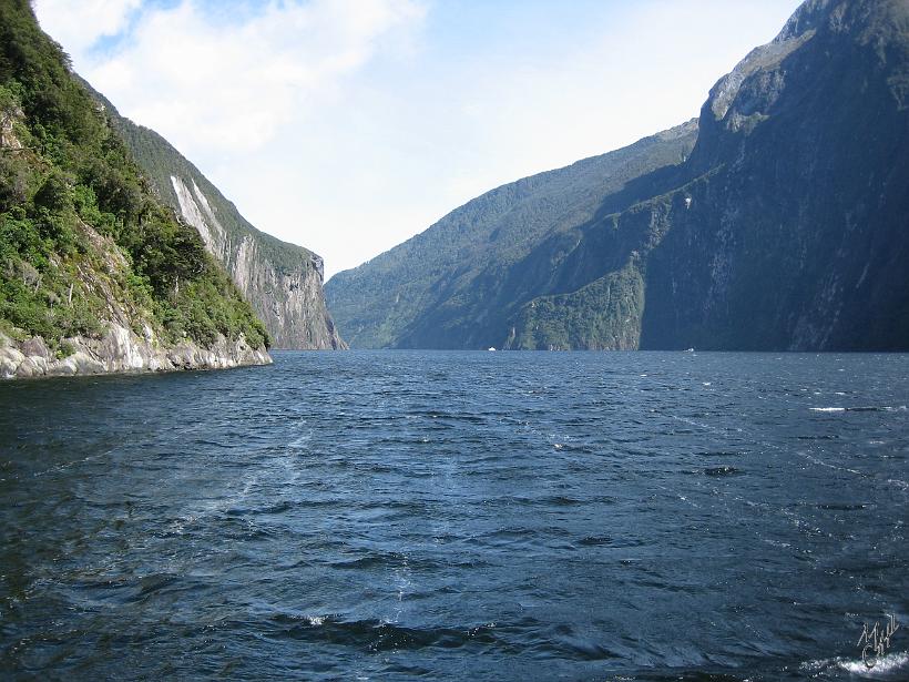 Milford_Sound_IMG_1933.JPG - Les eaux de Doubtful Sound sont formées par 2 couches distinctes qui ne se mélangent pas: la couche supérieure est de l'eau fraîche des rivières, épaisse de quelques mètres, et la couche inférieure est de l'eau de mer salée.