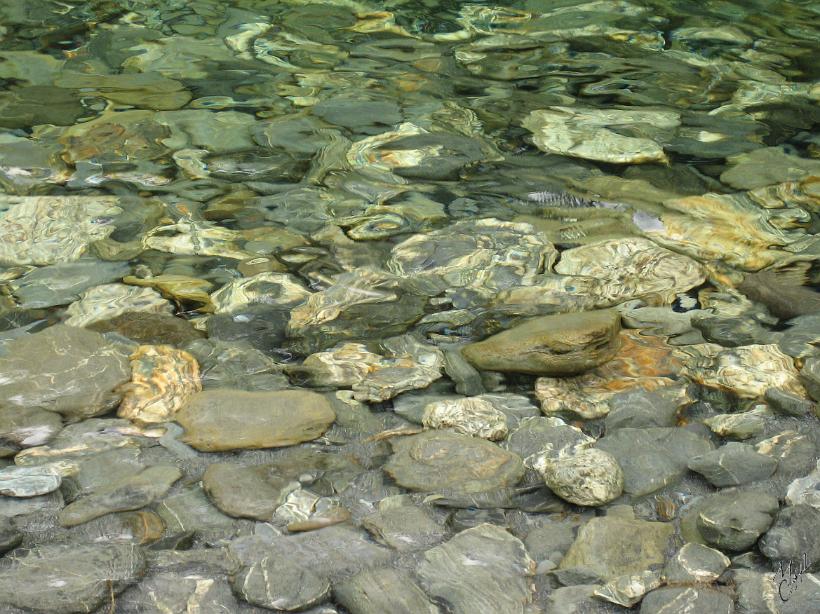 Queenstown_WestCoast_IMG_2445.JPG - Reflets de cailloux dans l'eau claire d'une rivière
