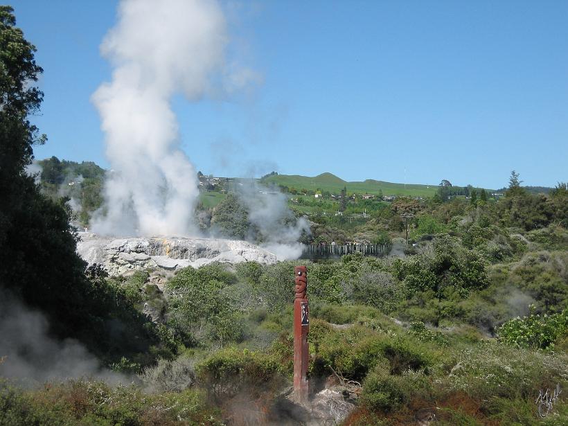 Taupo_IMG_1244.JPG - Tout près du village se trouve un geyser qui comme la soupape d'une cocotte minute crache régulièrement des jets d'eau bouillante.