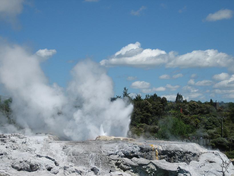 Taupo_IMG_1271.JPG - Le geyser de Whakarewarewa.