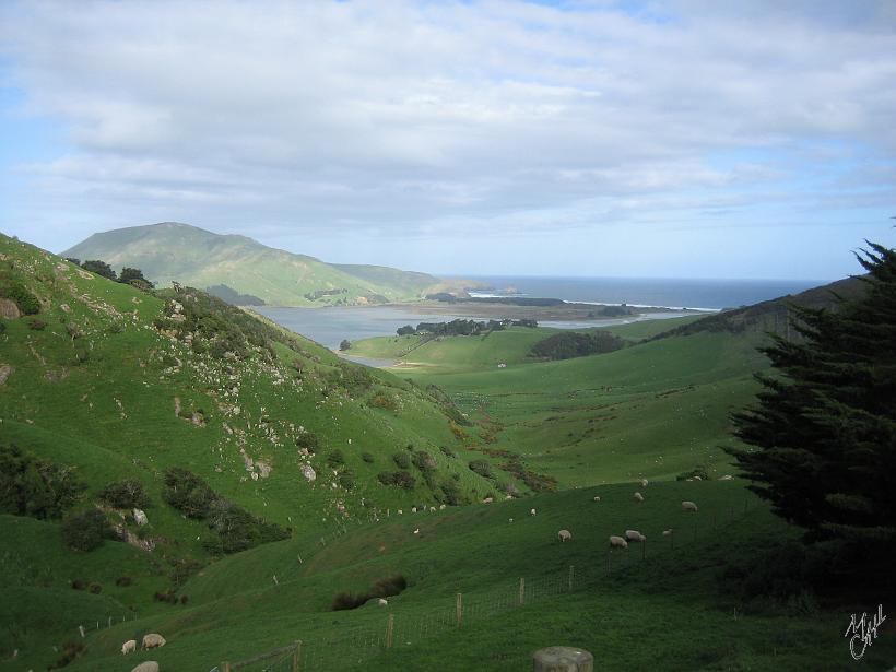 volWellington_jusque_ici_Dunedin_IMG_1759.JPG - Les vertes collines, recouvertes de moutons, vont se jeter dans les flots de l'océan pacifique.