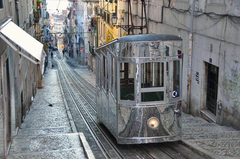 DSC_1453x.jpg - Le funiculaire (ascencores) da Bica. Le centre historique de Lisbonne est composé de sept collines, dont certaines ont des rues trop pentues pour permettre la circulation automobile ; la ville compte trois funiculaires et un ascenseur.